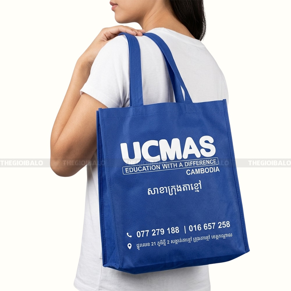 Túi vải không dệt in logo KD260020 3